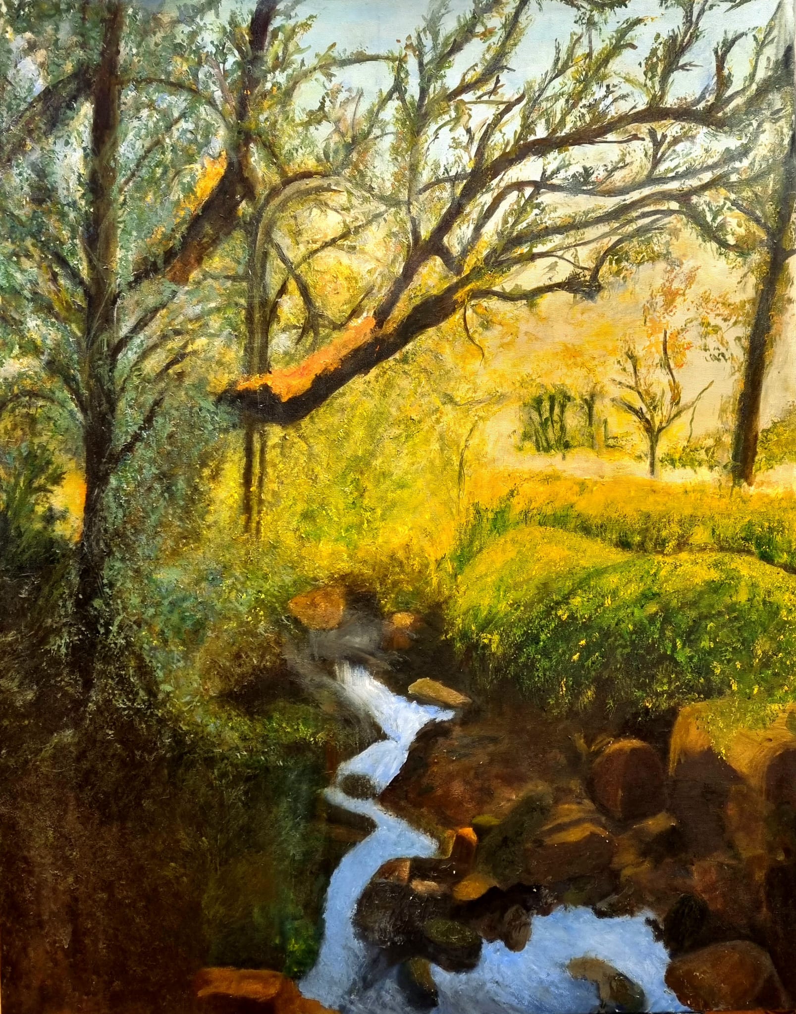 El ultimo sol del bosque